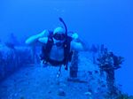 Hawaii Scuba divng 16