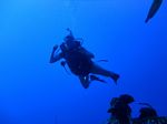 Hawaii Scuba divng 26