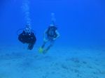 Hawaii Scuba divng 46