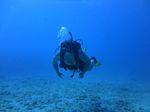 Hawaii Scuba divng 52