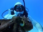 Hawaii Scuba divng 56