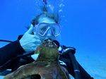 Hawaii Scuba divng 57