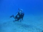 Hawaii Scuba divng 61