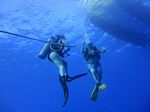 Hawaii Scuba divng 06