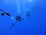 Hawaii Scuba divng 07