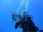 Hawaii Scuba divng 81