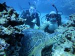 Hawaii Scuba divng 82