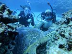 Hawaii Scuba divng 83