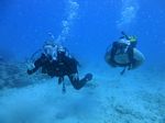 Hawaii Scuba divng 84