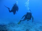 Hawaii Scuba divng 91