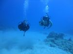 Hawaii Scuba divng 92