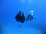 Hawaii Scuba divng 93