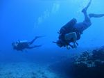 Hawaii Scuba divng 95