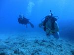 Hawaii Scuba divng 96