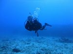 Hawaii Scuba divng 97