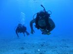 Hawaii Scuba divng 99