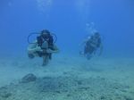 Hawaii Scuba divng 11