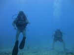 Hawaii Scuba divng 12