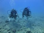 Hawaii Scuba divng 18