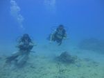 Hawaii Scuba divng 20