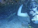 Hawaii Scuba divng 24