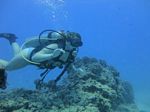 Hawaii Scuba divng 26