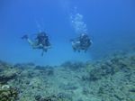 Hawaii Scuba divng 29