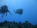 Hawaii Scuba divng 32