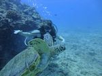 Hawaii Scuba divng 34