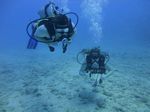 Hawaii Scuba divng 39