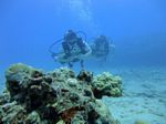 Hawaii Scuba divng 40