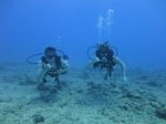 Hawaii Scuba divng 41