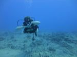 Hawaii Scuba divng 42