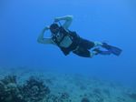 Hawaii Scuba divng 43