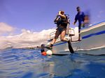 Hawaii Scuba divng 06