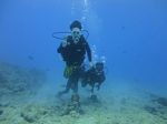 Hawaii Scuba divng 14