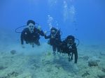 Hawaii Scuba divng 15