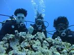 Hawaii Scuba divng 17