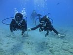 Hawaii Scuba divng 20