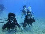 Hawaii Scuba divng 21