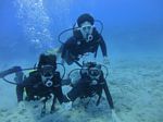 Hawaii Scuba divng 22