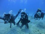 Hawaii Scuba divng 24