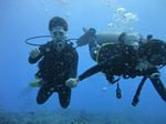 Hawaii Scuba divng 33