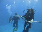 Hawaii Scuba divng 34