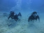 Hawaii Scuba divng 03