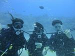 Hawaii Scuba divng 47