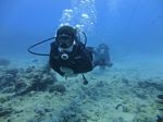 Hawaii Scuba divng 04