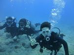 Hawaii Scuba divng 07