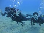 Hawaii Scuba divng 09