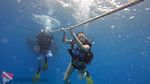 Oahu scuba 10